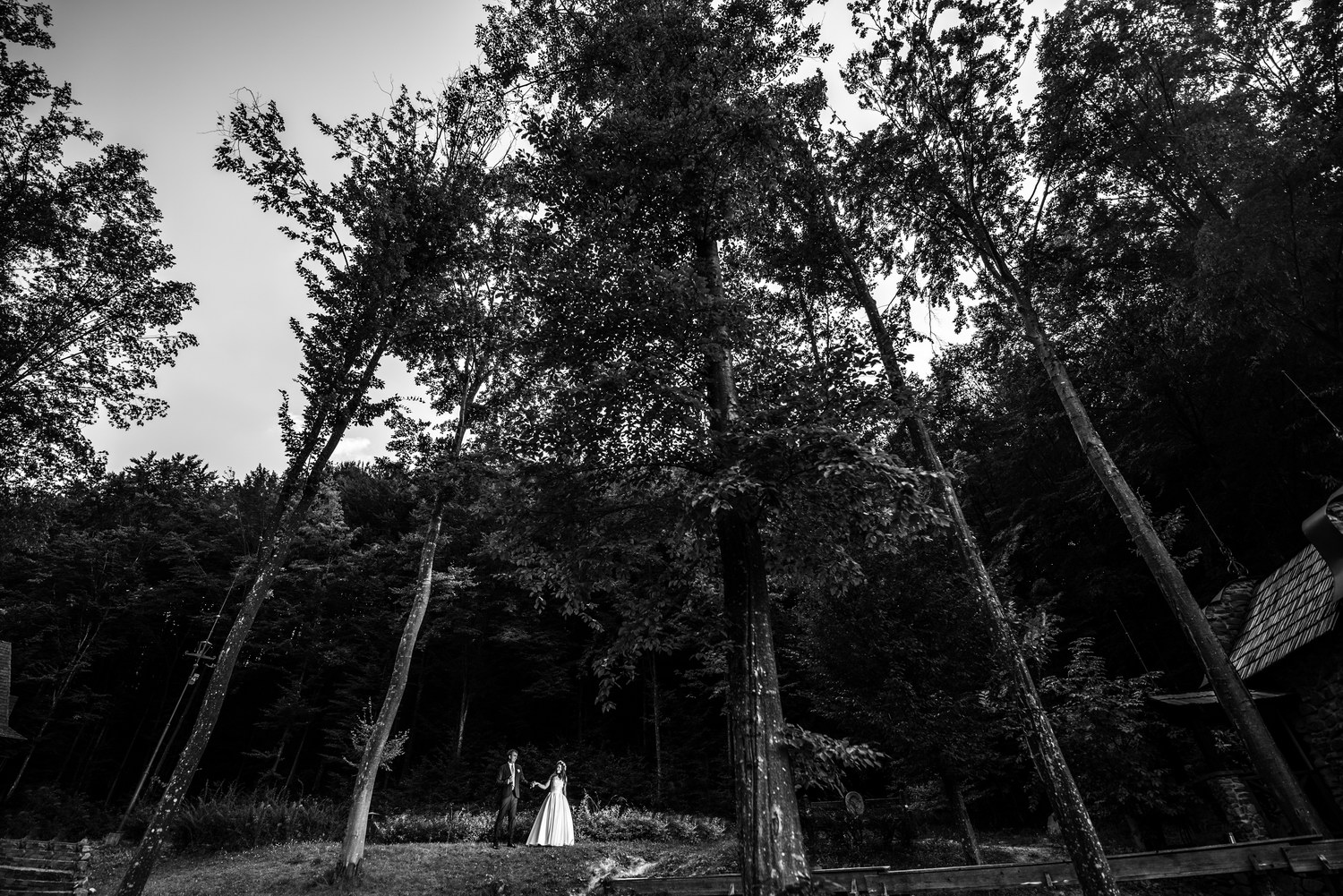 varadisandor-photo-11
